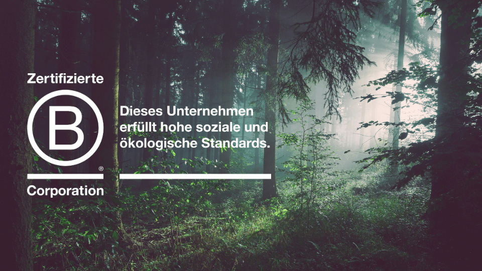 Dichter, vom Sonnenlicht beleuchteter Wald mit deutscher Textüberlagerung über ein zertifiziertes Unternehmen, das hohe soziale und ökologische Standards erfüllt, und einem „B Corporation“-Logo.